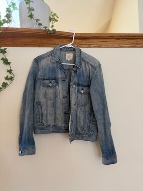 American Eagle Outfitters Light Blue Denim Jacket